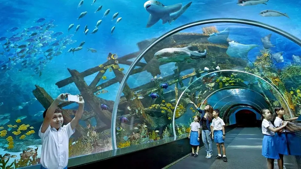 Visit Dubai Aquarium & Underwater Zoo